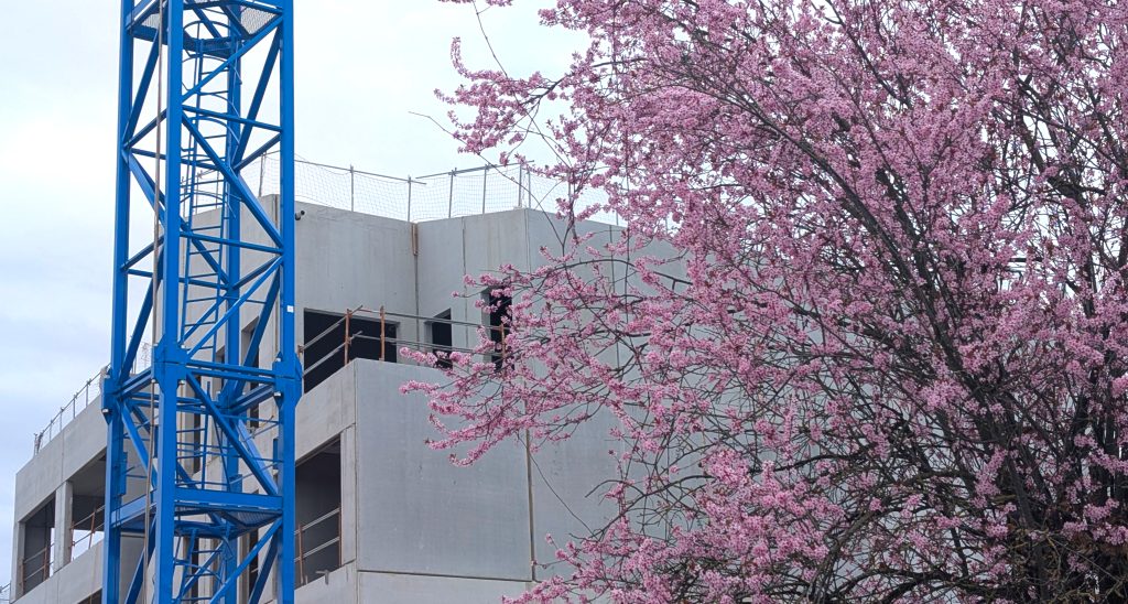 Commercial construction site with a partially completed concrete building and tower crane beside a flowering tree, illustrating legionella control risks in commercial buildings where water systems, pipework installation, and changing spring temperatures can increase the need for legionella risk assessment, water hygiene monitoring, and compliance with ACoP L8 guidance