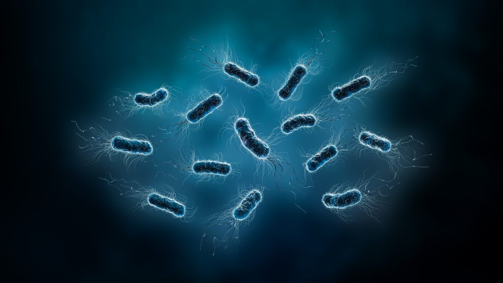 Digital microscopic illustration of multiple rod-shaped bacteria with fine hair-like structures against a dark blue background, representing the potential presence and spread of Legionella bacteria within an inadequately monitored water system.